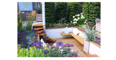 Patio & Balcony planting and gardening ideas