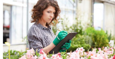 When Is The Best Time To Visit The Plant Nursery?