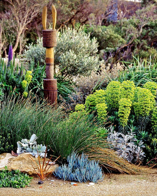 Coastal and Seaside Plants