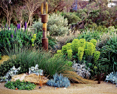 Coastal and Seaside Plants