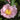 Camellia Sasanqua, Plantation Pink